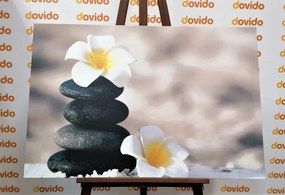 Quadro su tela – Pietre armoniche e fiore di plumeria