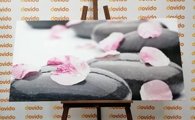 Quadro su tela – Pietre wellness con petali