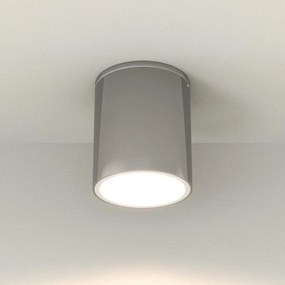 Applique da soffitto Cilindrica PAR30 IP54 in Alluminio e Vetro INOX