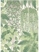 Pflanzen Tapete Fern von Cole and Son - Green