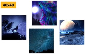 Set di quadri – Lupo misterioso