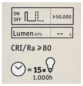 Lampadina LED dimmerabile CLASSIC G125 E27/4,5W/230V 2600K - Paulmann 28743