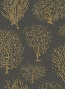 Cole & Son Carta da parati Seafern - Black/ Gold