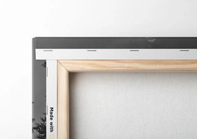 Quadro su tela – Riflesso del lago di montagna in bianco e nero