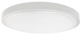 Plafoniera LED da bagno LED/18W/230V 6500K IP44 diametro 25 cm bianco