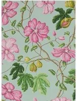 Manuel Canovas Carta da parati Castellane - Rose/ Aqua