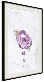 Poster  He Loves Me, He Loves Me Not...  Cornice Quadri Cornice nera con pass-partout, Larghezza x Altezza Home decor 20x30