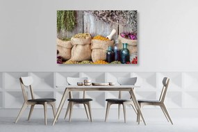 Quadro su tela – Erbe medicinali