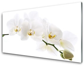 Quadro acrilico Fiori di orchidea 100x50 cm