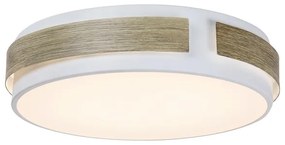 Rabalux 5646 - Plafoniera LED dimmerabile SALMA LED/24W/230V