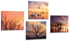 Set di quadri – Natura affascinante