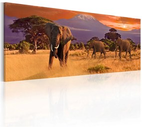 Quadro La marcia degli Elefanti africani