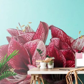 Carta da parati autoadesiva – Amaryllis esotico su sfondo turchese