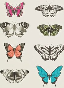 Harlequin Carta da parati  - Flamingo/ Papaya/ Olive