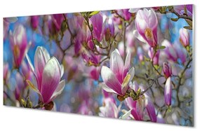 Quadro vetro Alberi di magnolia 100x50 cm