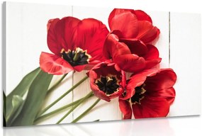Quadro su tela – Tulipani rossi fioriti