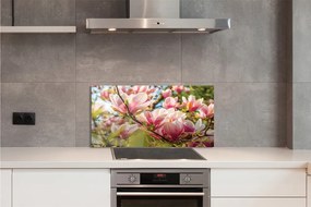 Rivestimento parete cucina Magnolia rosa 100x50 cm