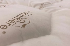 Cuscino 60x70 cm Cashmere – Good Morning