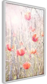 Poster Poppies