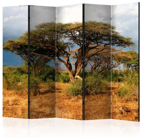 Paravento separè Nella Terra di Samburu, Kenya II - paesaggio tropicale con alberi