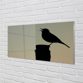 Pannello paraschizzi cucina Uccello nero 100x50 cm