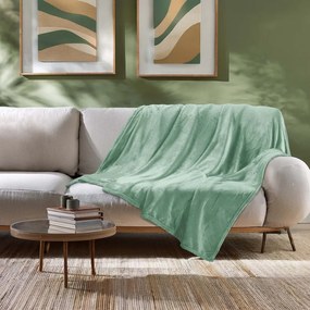 Coperta verde chiaro in microflanella 180x220 cm Flanou – douceur d'intérieur