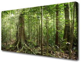 Quadro su tela Natura della foresta Alberi della giungla 100x50 cm