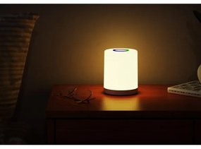 Rabalux 74209 - LED RGB Ricaricabile lampada da tavolo TIPY LED/0,8W/5V