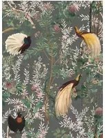 Mindthegap Carta da parati Royal Garden - WP20456