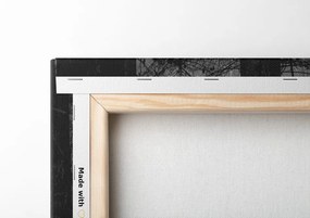Quadro su tela – Luce nella foresta in bianco e nero