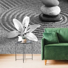 Carta da parati – Giardino Zen in bianco e nero