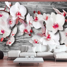 Fotomurale  Orchidee insensibili  Colore Grigio, Dimensioni e Misure 150x105