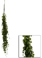 Hanging green branch cm7.6xh80x7.6