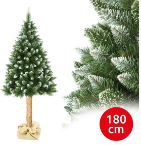 Albero di Natale su tronco 180 cm pino
