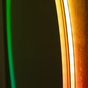 Brilagi- Specchio riscaldato LED RGBW dimmerabile con retroilluminazione AVA PRO LED/18W/230V ø 60 cm IP44