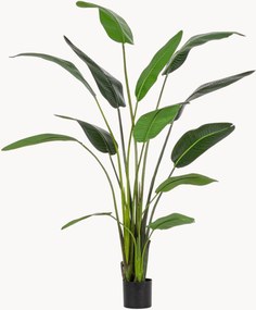 Pianta artificiale XL Sterilizia