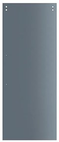 Anta per porta scorrevole esterno muro Fumè Traparente, in vetro L 96 x H 215 cm spessore 10 mm, apertura reversibile