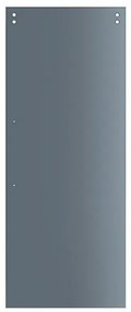 Anta per porta scorrevole Fumè Traparente in cristallo L 96 x H 215 cm reversibile