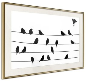 Poster  Birds Council Meeting  Cornice Quadri Cornice d'oro con passe-partout, Larghezza x Altezza Home decor 30x20