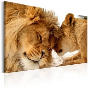 Quadro  Love's Secret  Colore Marrone, Dimensioni e Misure 90x60