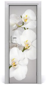 Adesivo per porta interna Orchidea bianca 75x205 cm