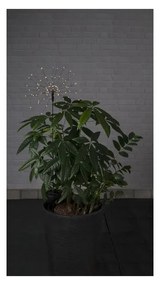 Apparecchio solare a LED per esterni con LED bianchi , altezza 100 cm Firework - Star Trading