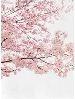 Coordonne Wandbild Blossom Almond Tree - Pink