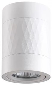 Luce Spot RUBIN 1xGU10/10W/230V bianco