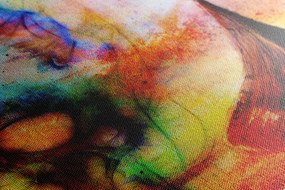 Quadro su tela – Nave vichinga