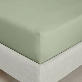 Lenzuolo con angoli verde in percalle di cotone 90x190 cm Cotton Percale – Bianca