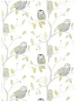 Harlequin Tapete Little Owls - Kiwi