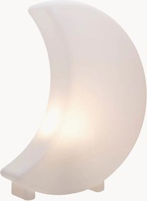 Lampada decorativa a LED in & outdoor Shining Moon