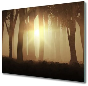 Tagliere in vetro temperato Nebbia nella foresta 60x52 cm