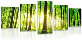 Quadri 5 pezzi – Foresta verde fresca